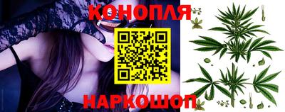 сатива Рязань