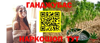 сатива Рязань