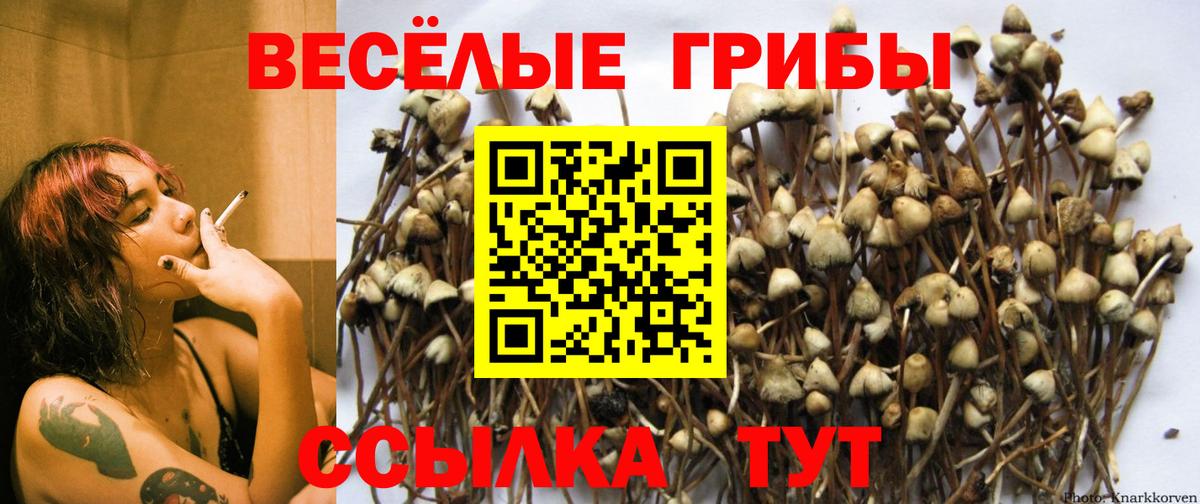Псилоцибиновые грибы Cubensis  Псилоцибиновые грибы Cubensis  Удомля  магазин  наркотиков  Вход с VPN 