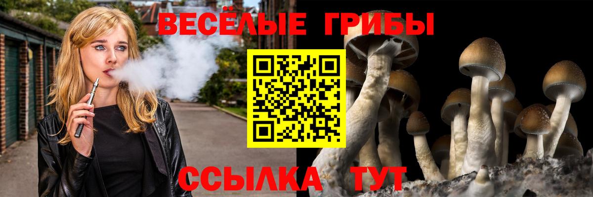 Галлюциногенные грибы мухоморы Удомля
